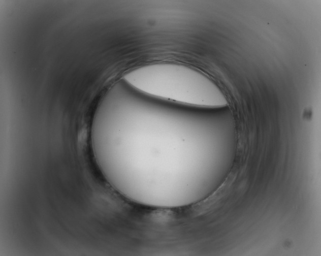 X0000103400124200809120933