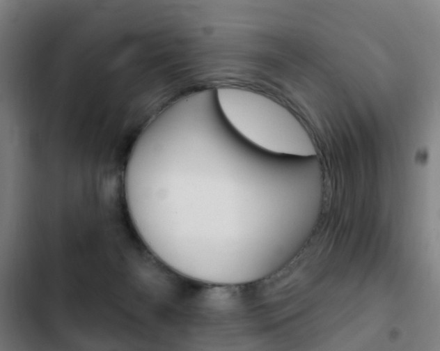 X0000103400126200809120933