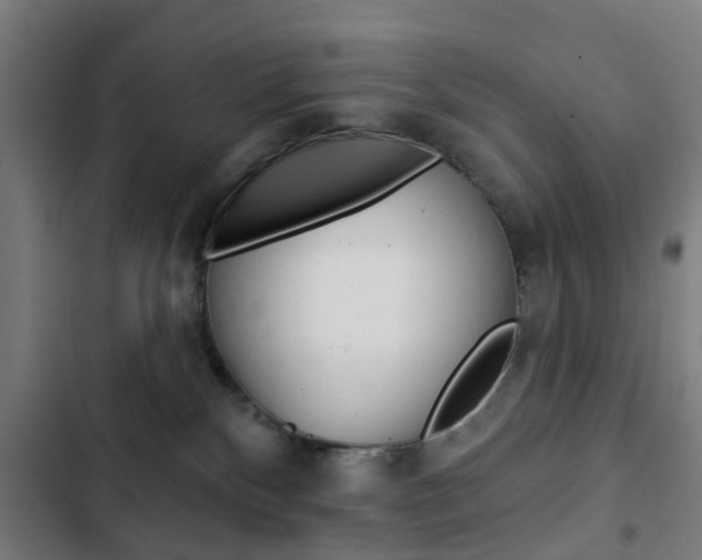 X0000103400136200809120933
