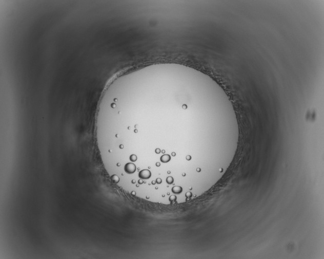 X0000103400144200809120933