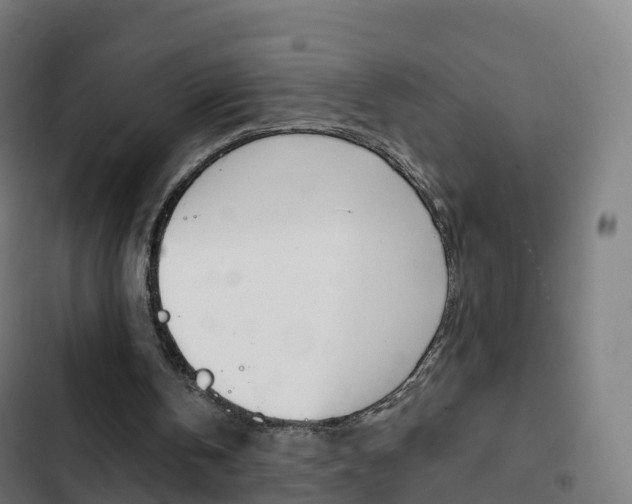 X0000103400146200809120932