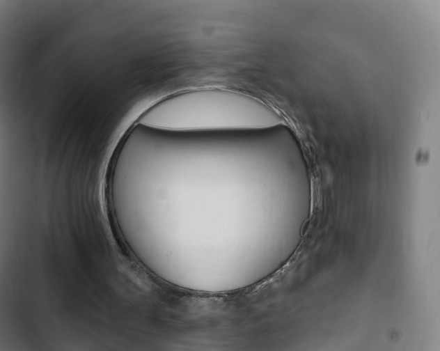 X0000103400147200809120932