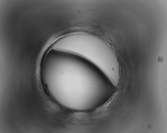 X0000103400150200809120932