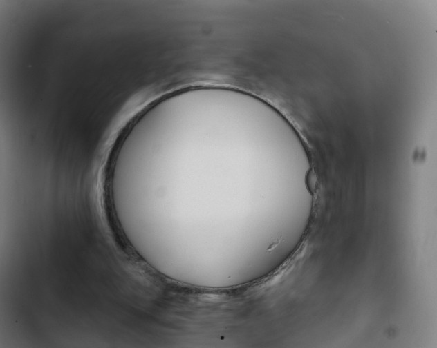 X0000103400151200809120932