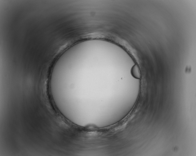 X0000103400153200809120932