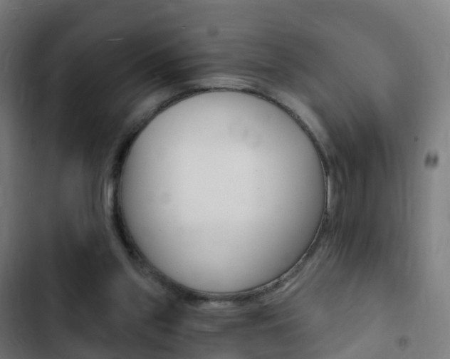 X0000103400157200809120932