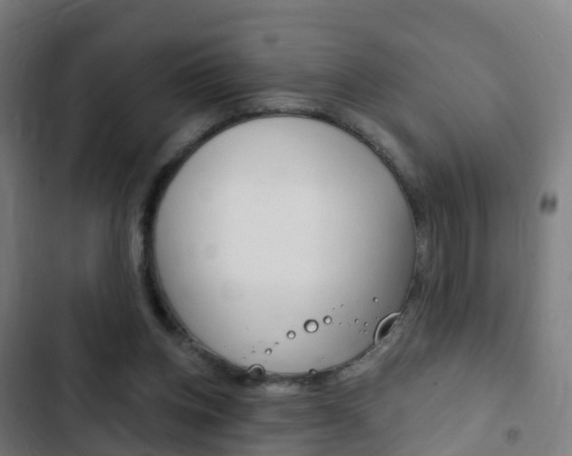 X0000103400158200809120932