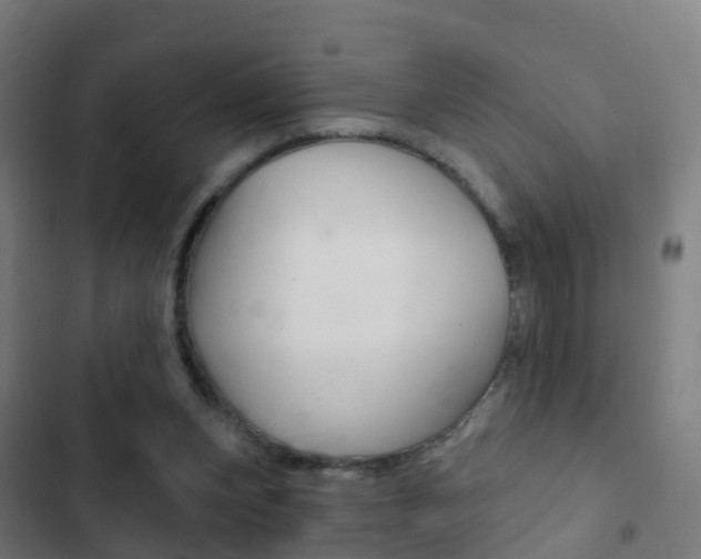 X0000103400159200809120932