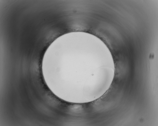 X0000103400162200809120932