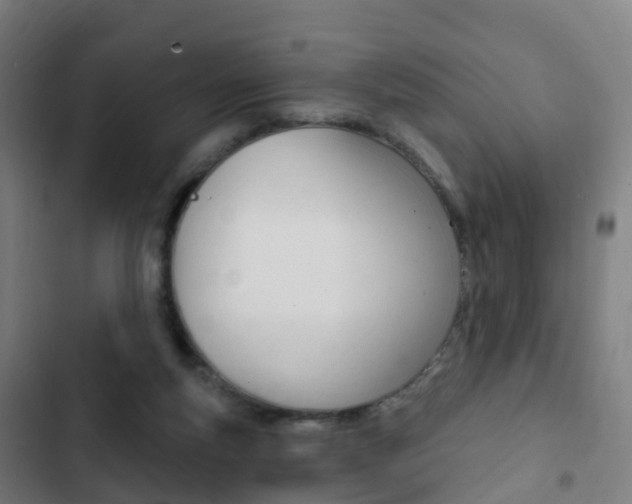 X0000103400163200809120932
