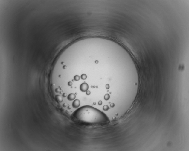 X0000103400164200809120932