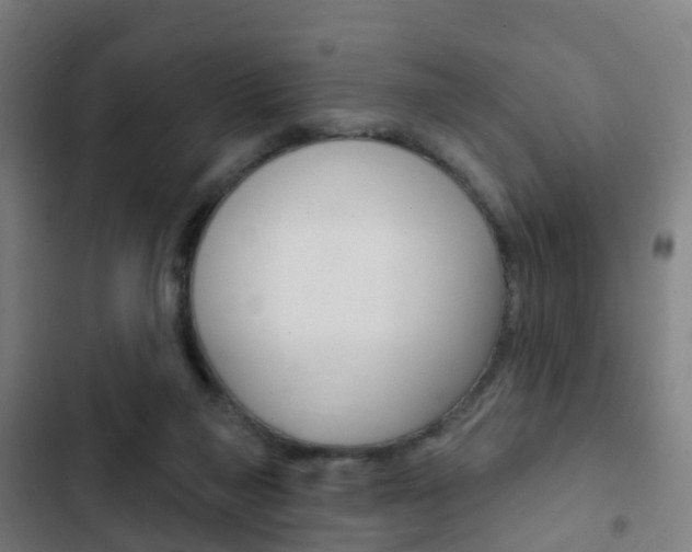X0000103400165200809120932