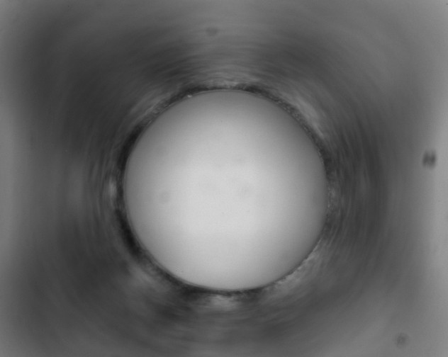 X0000103400166200809120932