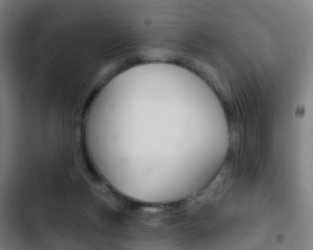 X0000103400167200809120932