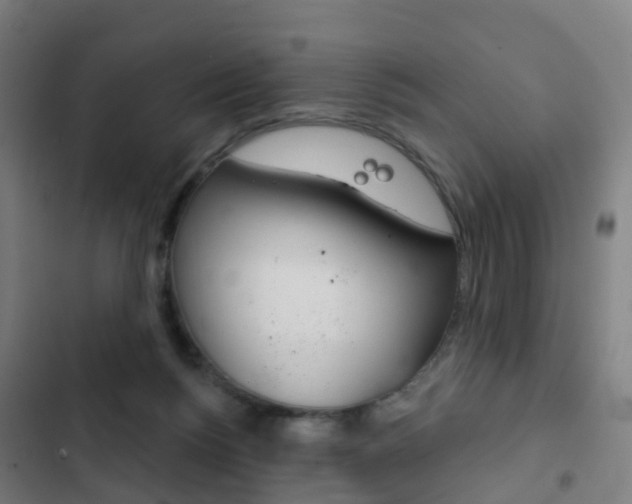 X0000103400168200809120932