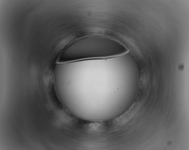 X0000103400172200809120932
