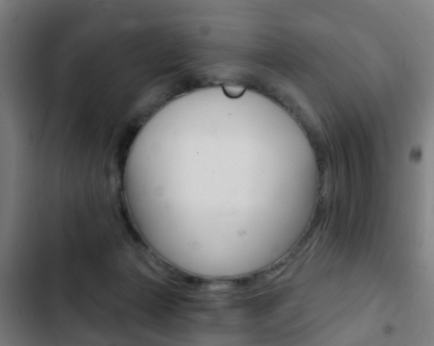 X0000103400173200809120932
