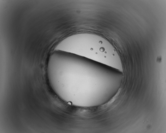 X0000103400174200809120932