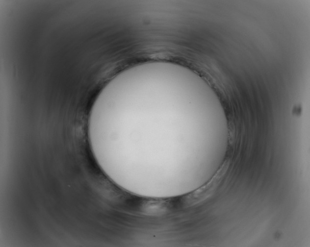 X0000103400175200809120932