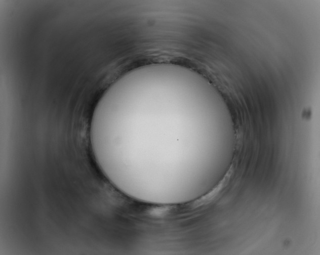 X0000103400178200809120932