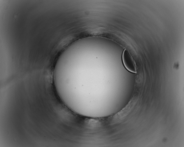 X0000103400180200809120932