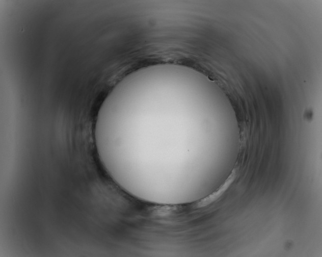 X0000103400182200809120932