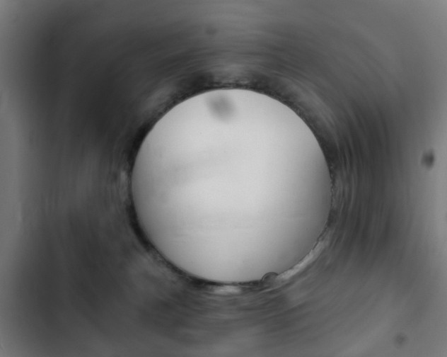 X0000103400183200809120932