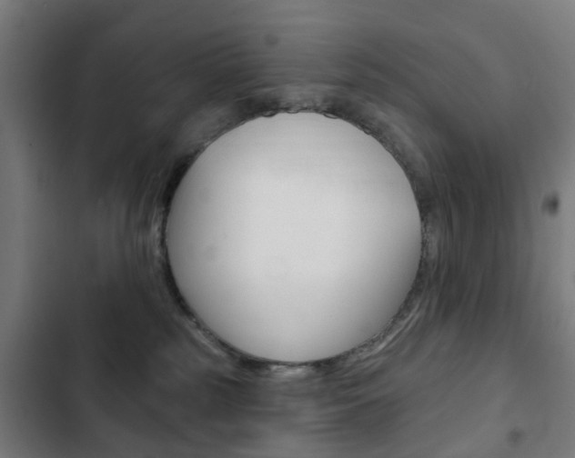 X0000103400185200809120932