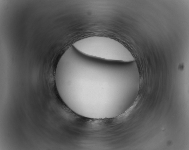 X0000103400186200809120932