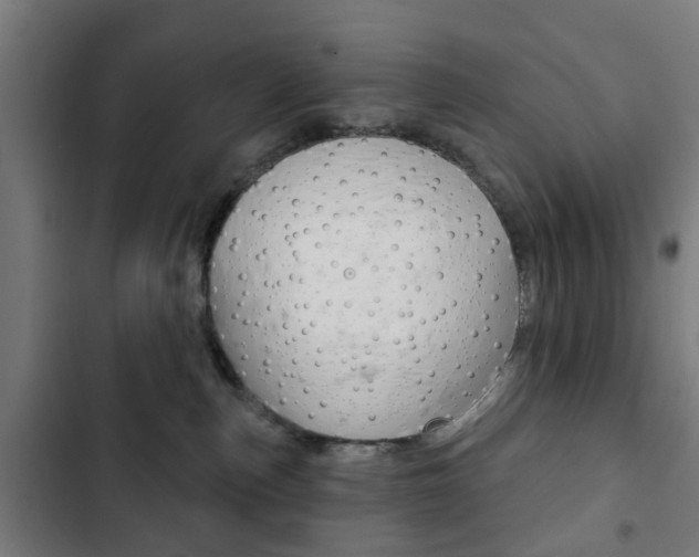 X0000103400187200809120932
