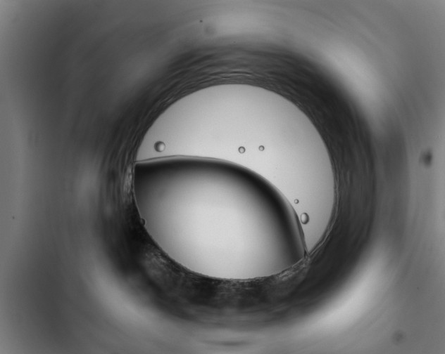X0000103400190200809120933
