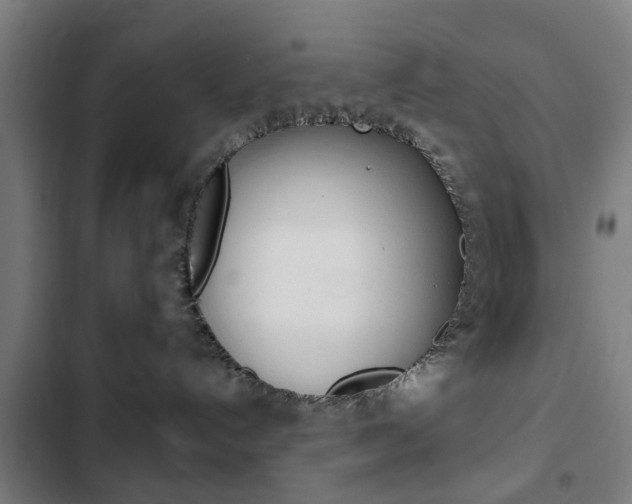 X0000103400192200809120933
