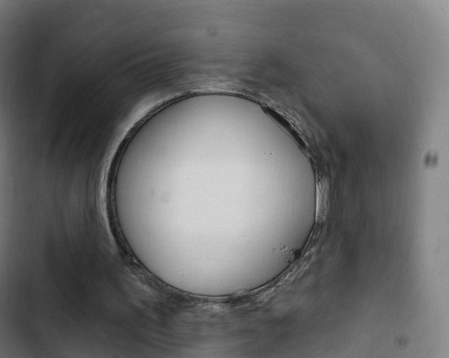 X0000103400195200809120932