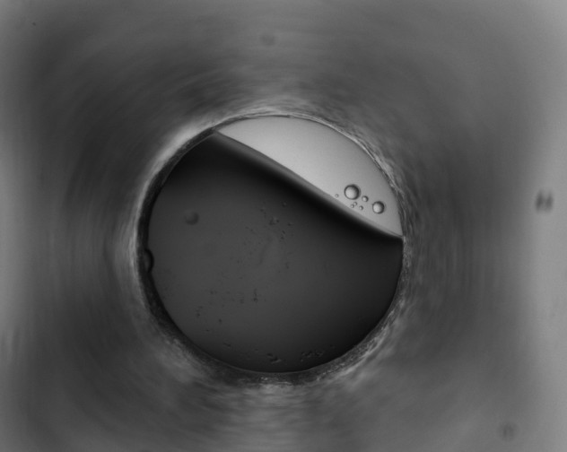 X0000103400196200809120932