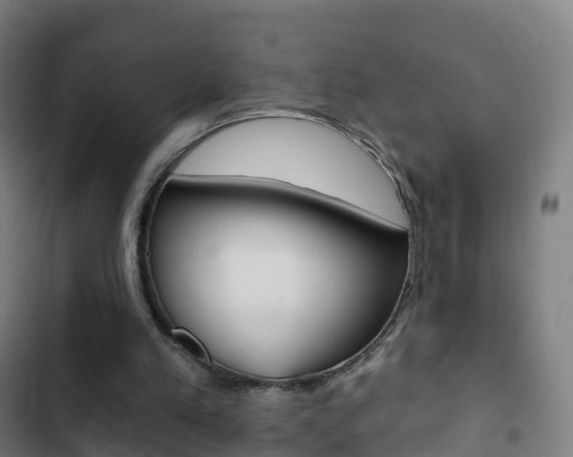 X0000103400197200809120932