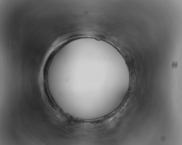X0000103400198200809120932