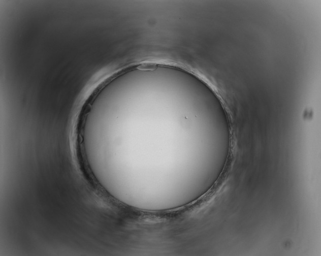 X0000103400199200809120932