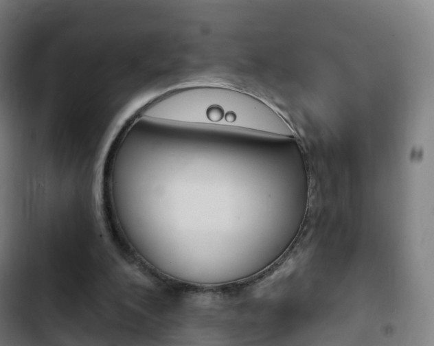 X0000103400200200809120932