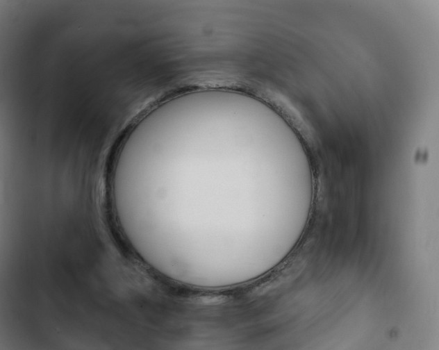 X0000103400202200809120932
