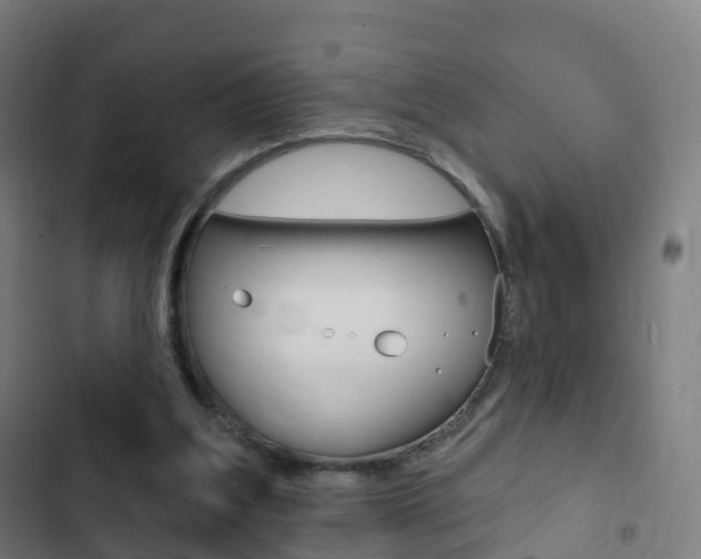 X0000103400203200809120932