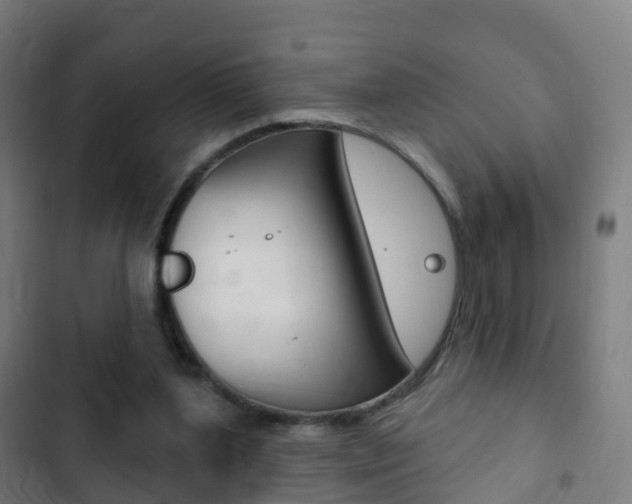 X0000103400204200809120932