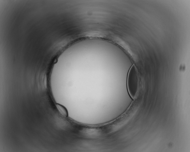 X0000103400205200809120932
