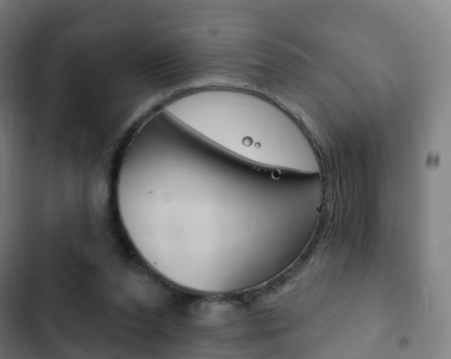 X0000103400208200809120932