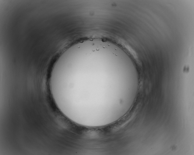X0000103400209200809120932