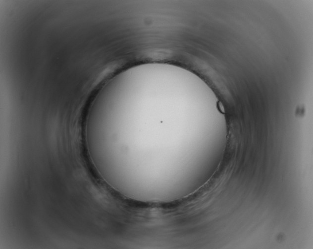 X0000103400212200809120931