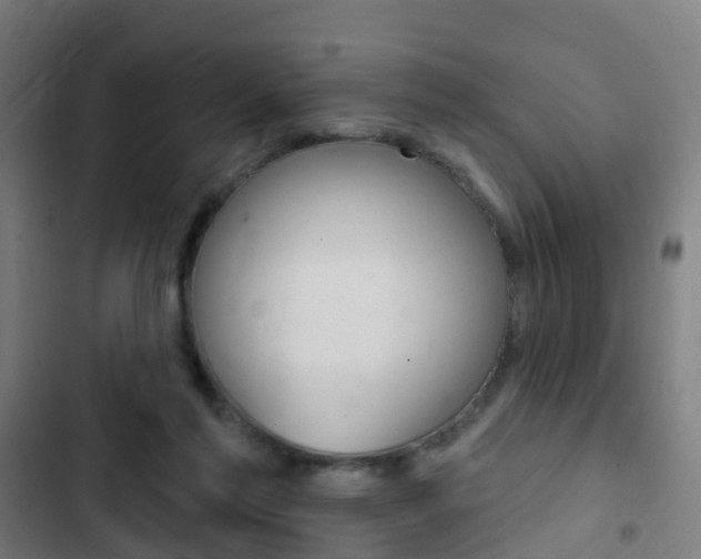 X0000103400213200809120931