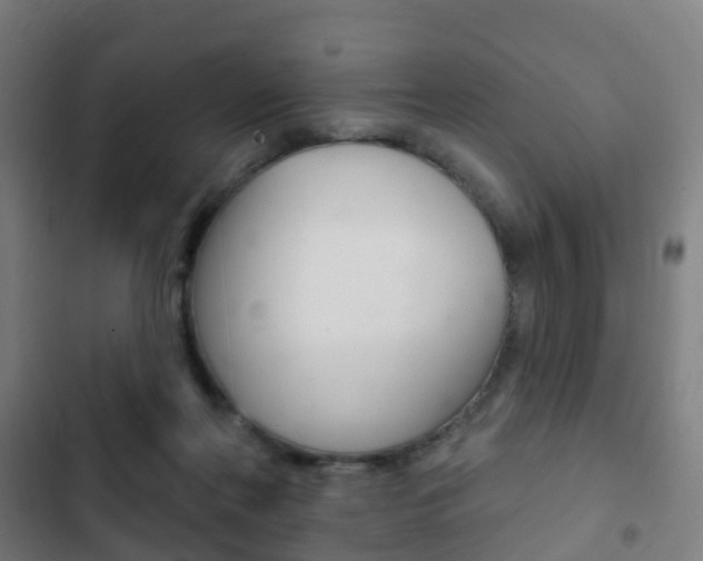 X0000103400214200809120931