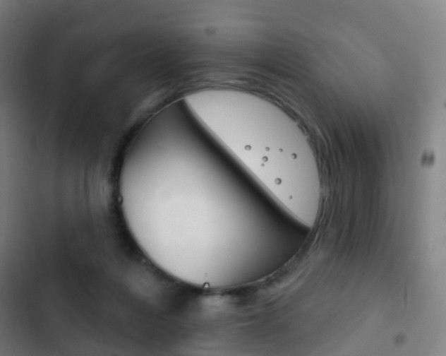 X0000103400216200809120931