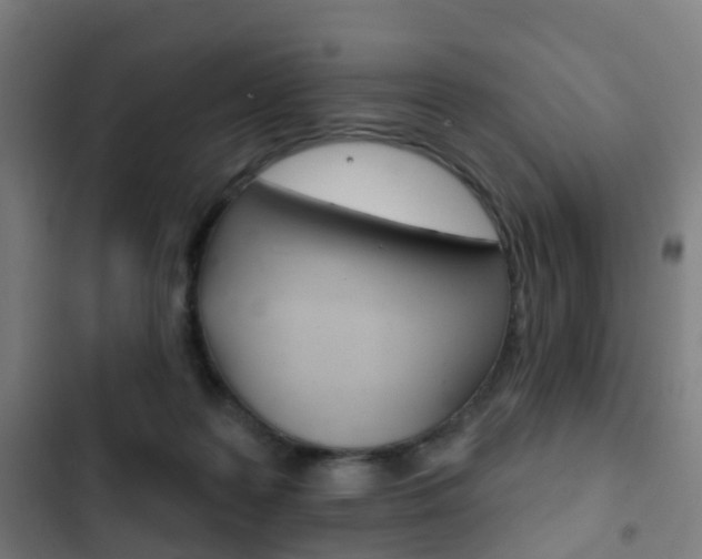 X0000103400219200809120931