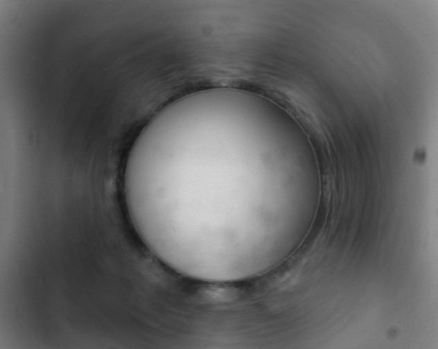X0000103400221200809120931